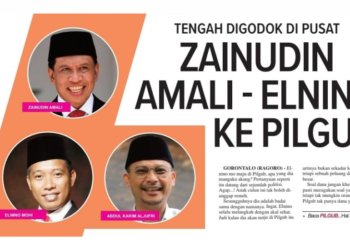 Zainudin Amali – Elnino ke Pilgub